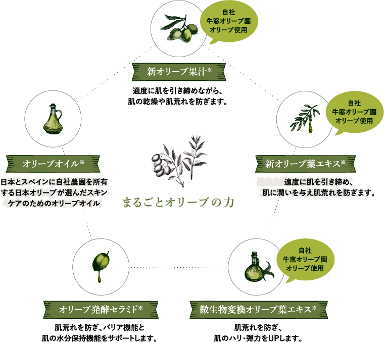 まるごとオリーブの力