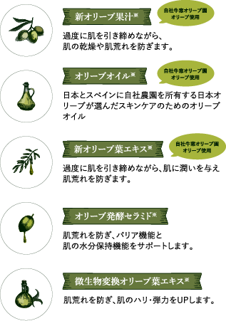 まるごとオリーブの力