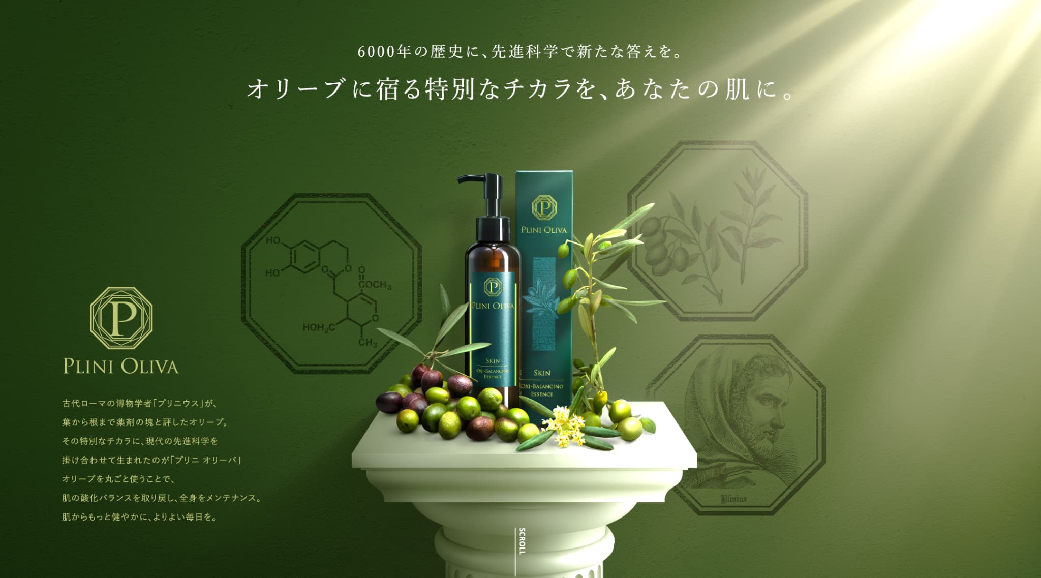 オリーブに宿る特別なチカラを、あなたの肌に